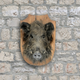 Illustration for article titled Dont Pierce The Shitbag: Adventures in Taxidermy